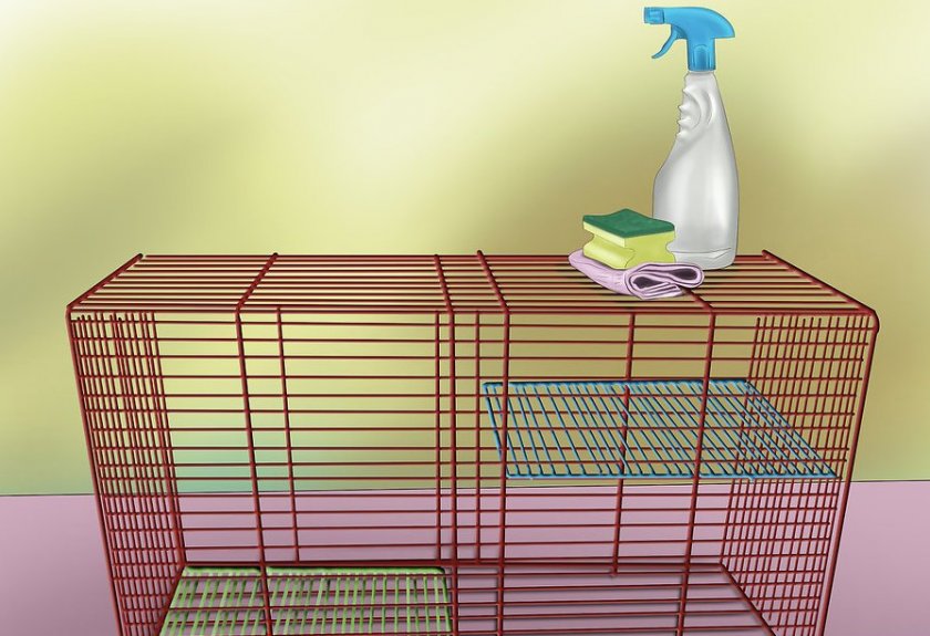 Уборка клетки Уборка клетки