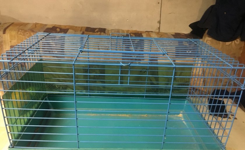 Клетка для крысы