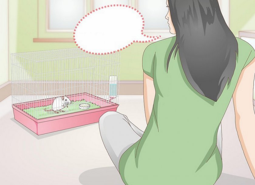 Общение с животным Общение с животным