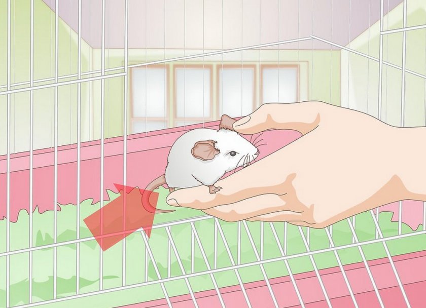 Регулярное общение Регулярное общение