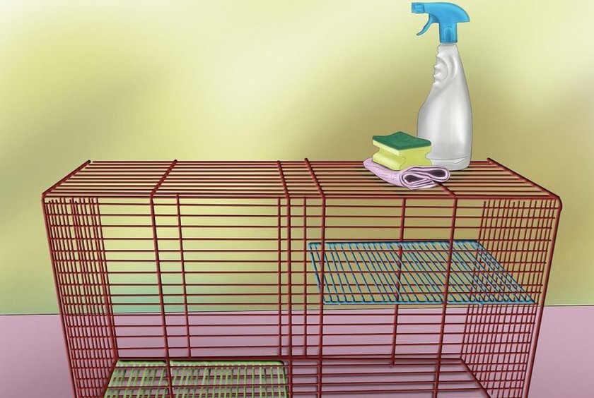 Уборка клетки