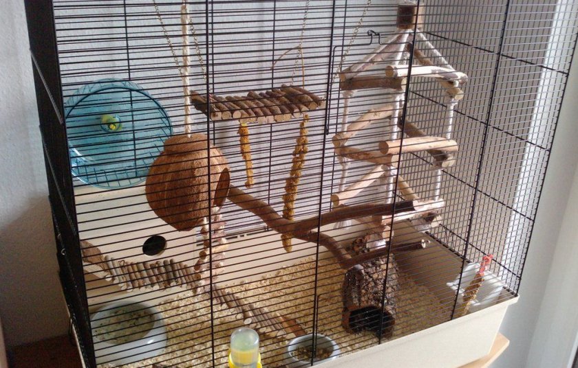 Клетка для мыши