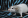 Крысы породы Дамбо