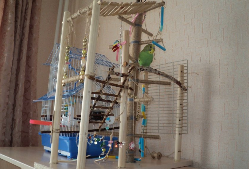 Игровая площадка для попугая