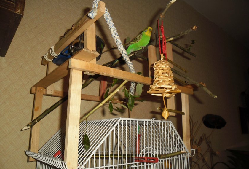 Игровой стенд для попугая