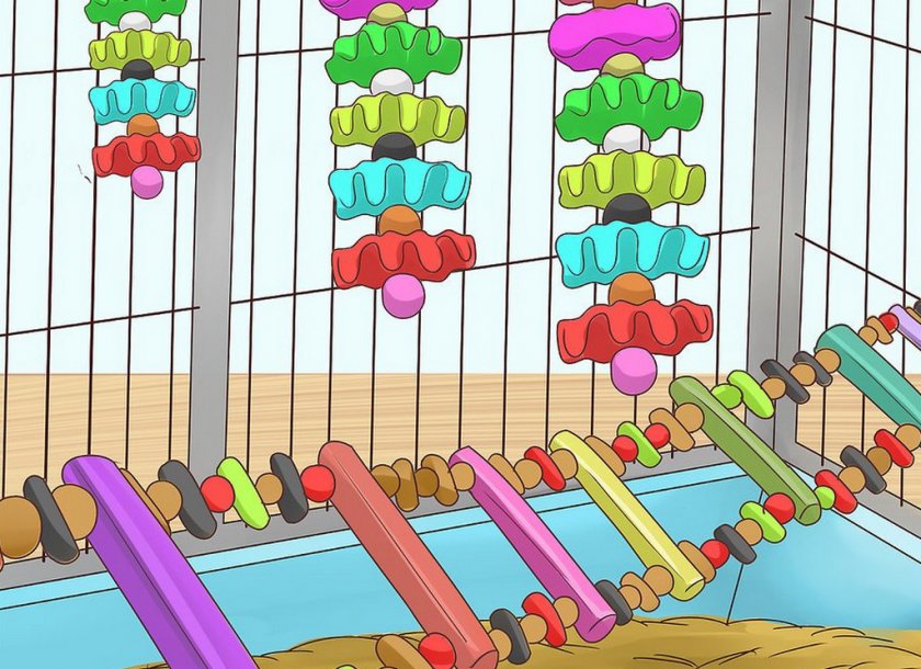 Жёрдочки для попугая