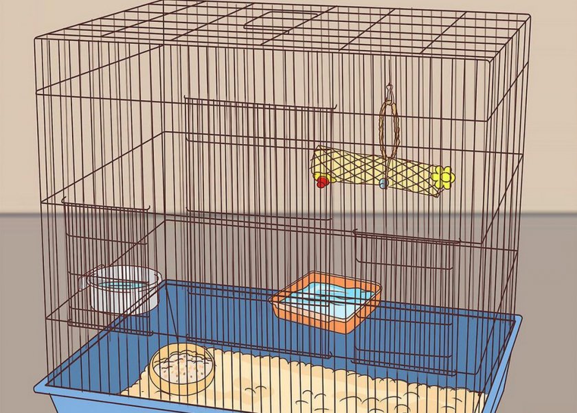 большие клетки для попугаев - Бишкек – Страница 156