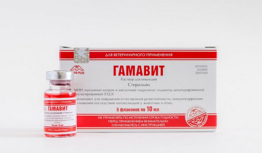 Препарат Гамавит