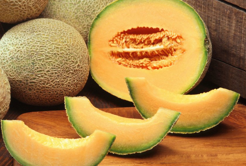 Бахчевая культура дыня