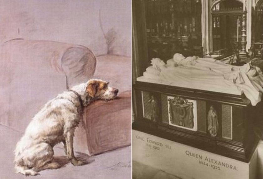 Фокстерьер