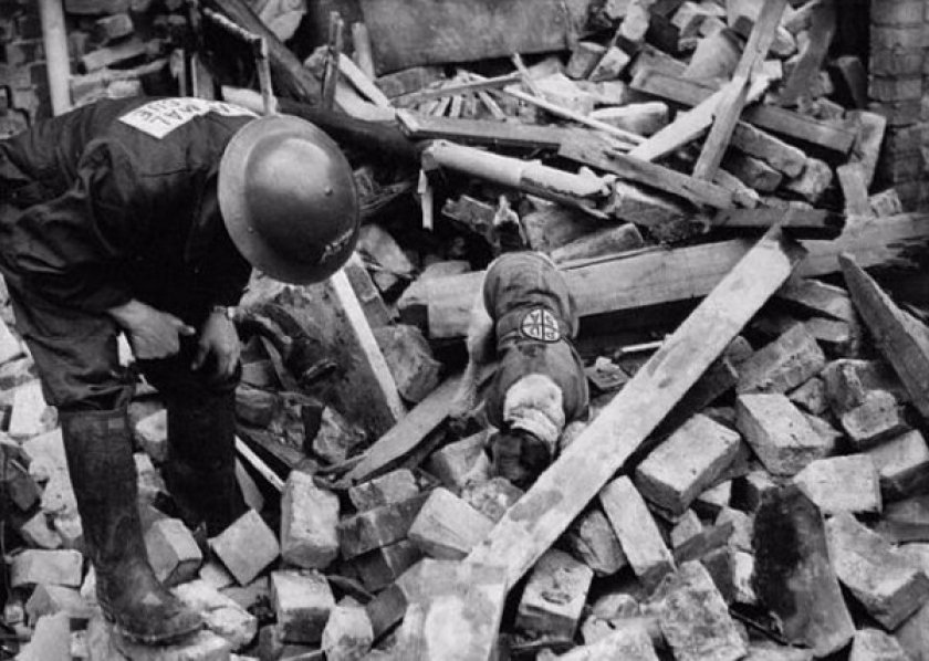 Фокстерьер