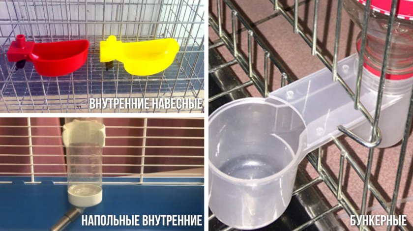 Типы кормушек и поилок