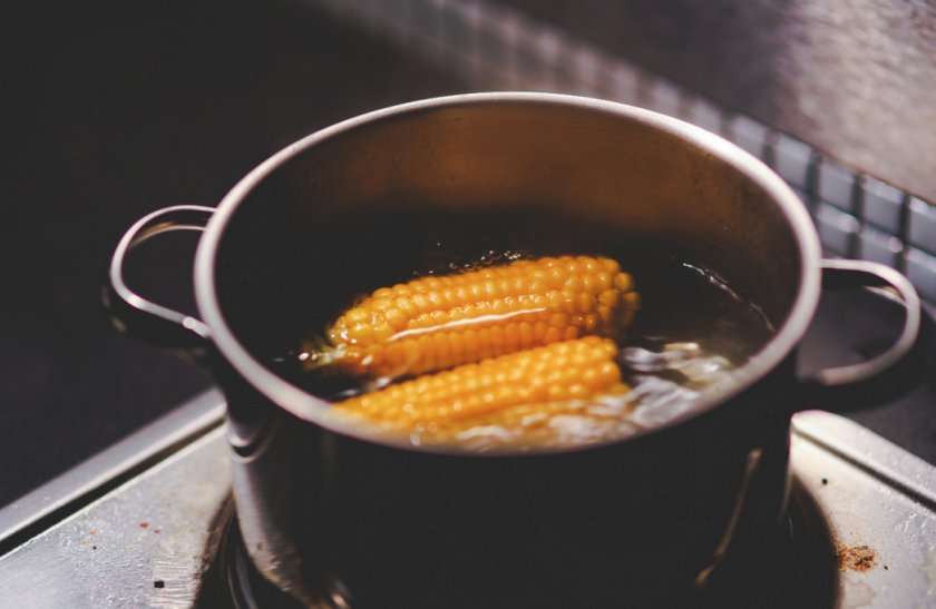 Вымачивание кукурузы в воде