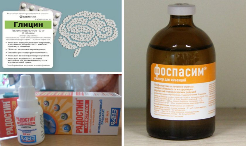 Препараты для успокоения попугая Препараты для успокоения попугая