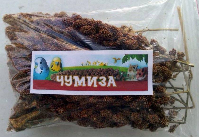 Чумиза Чумиза