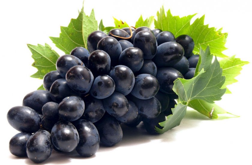 Виноградная гроздь Виноградная гроздь