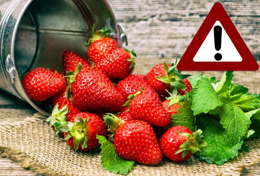 Избыточное употребление клубники