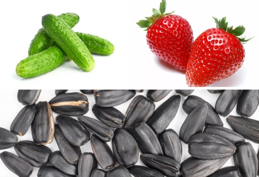 Лакомство для хомяка