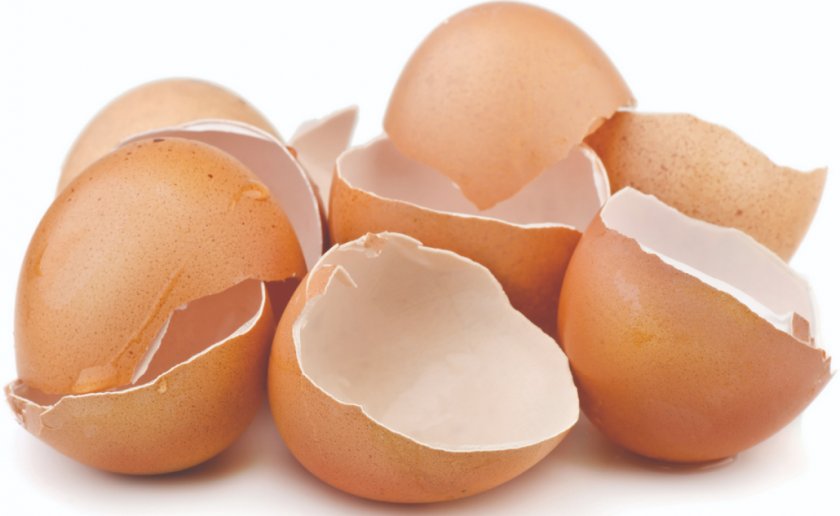 Яичная скорлупа Яичная скорлупа