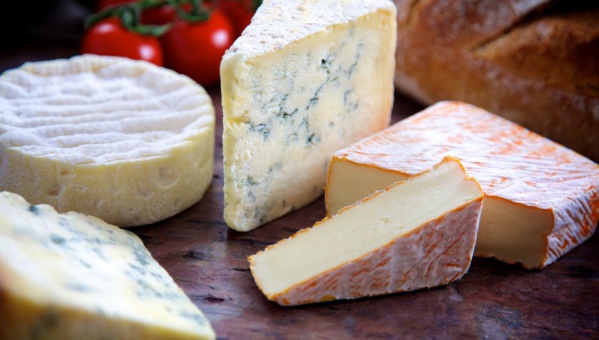 Выбор сыра для хомяка