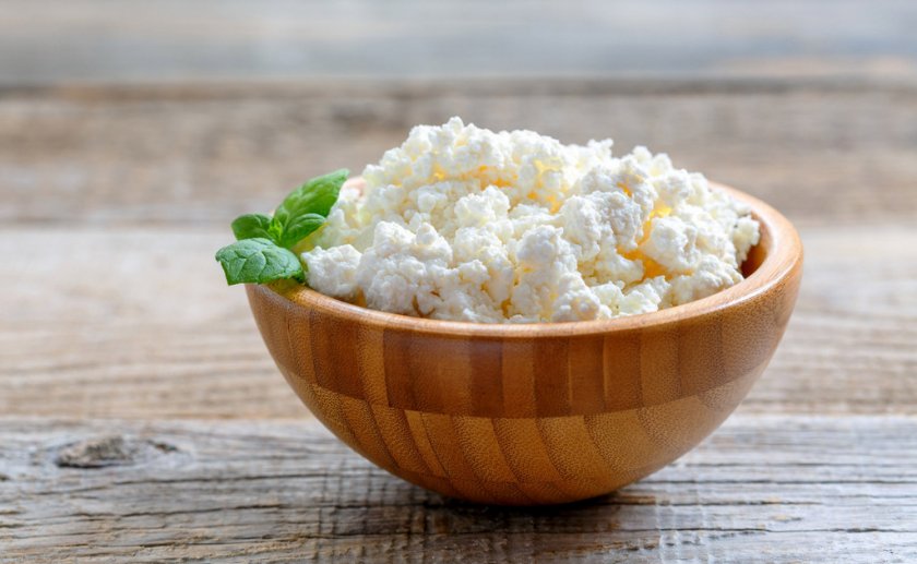 Творог для хомяка