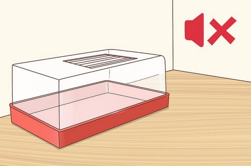 Тихое место для клетки