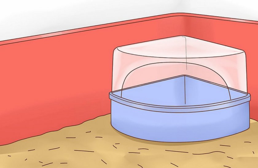 Ванна с пеком для хомяком