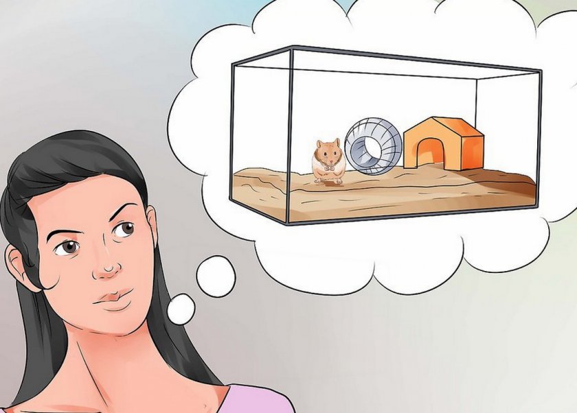 Жилище для хомяка