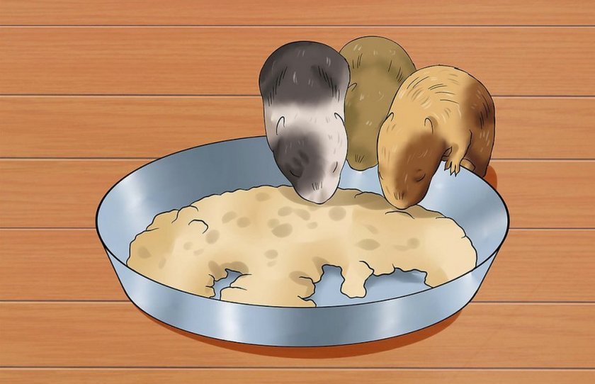 Уход за малышами