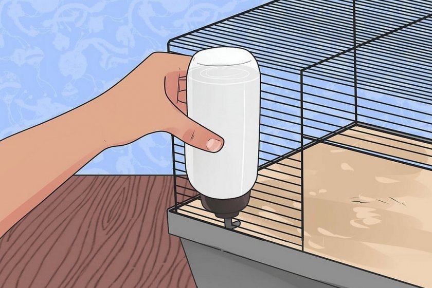 Поилка для хомяков