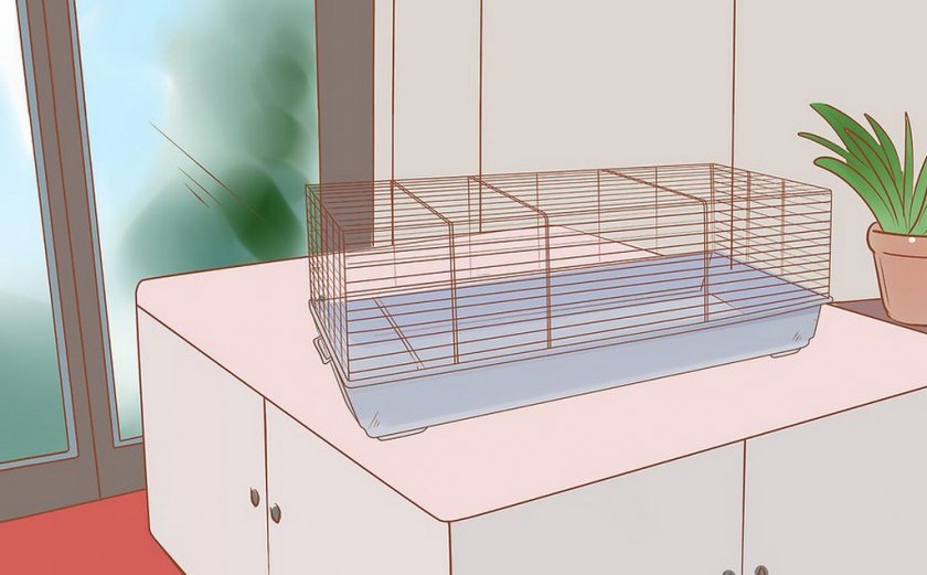 Клетка для грызунов Клетка для грызунов