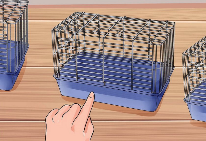 Выбор клетки для питомца Выбор клетки для питомца