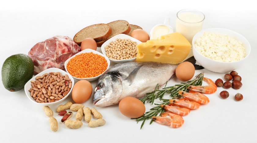 Продукты, богатые белком Продукты, богатые белком