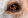 Покраснения глаза у собаки