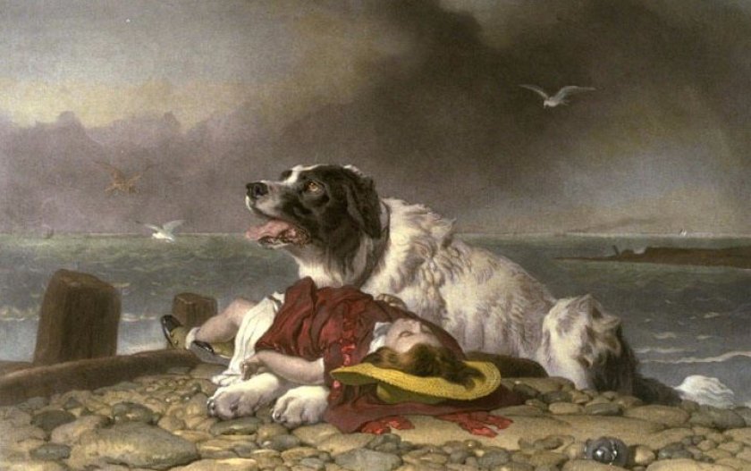 Эдвин Ландсир, Спасенная