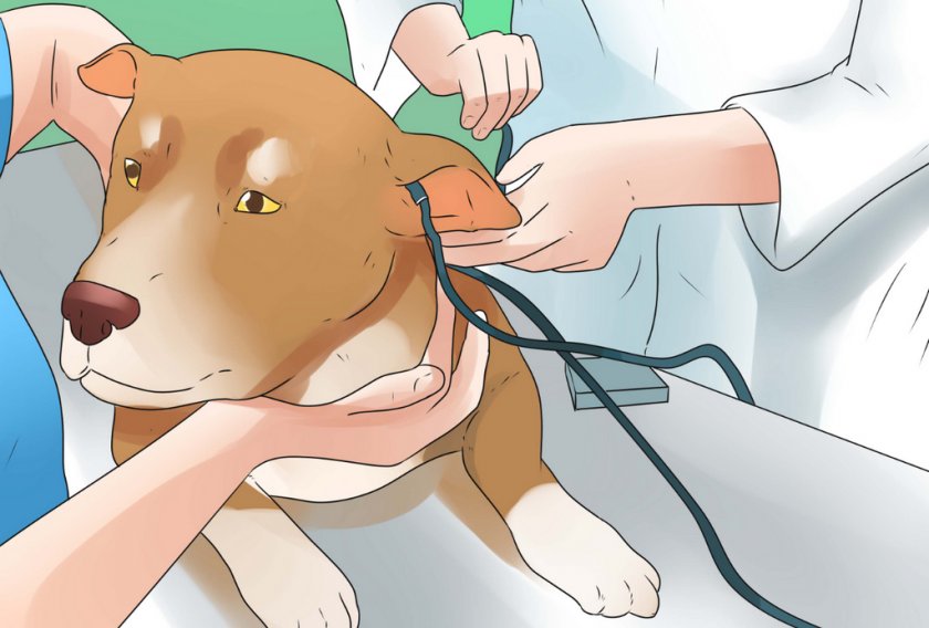 Прохождения BAER-теста