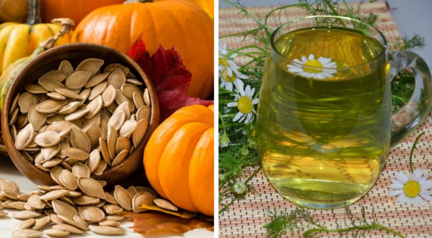 Народные средства для лечения собак