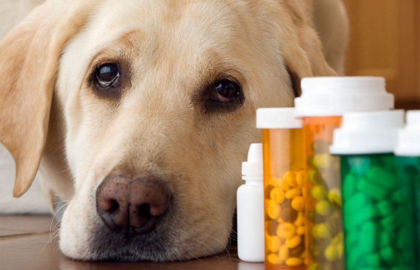 Таблетки от эктопаразитов