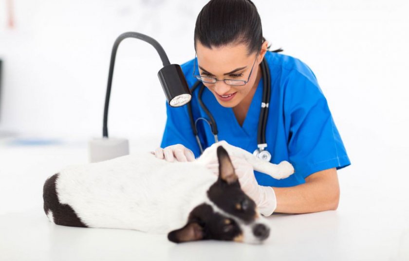 Диагностика заболевания