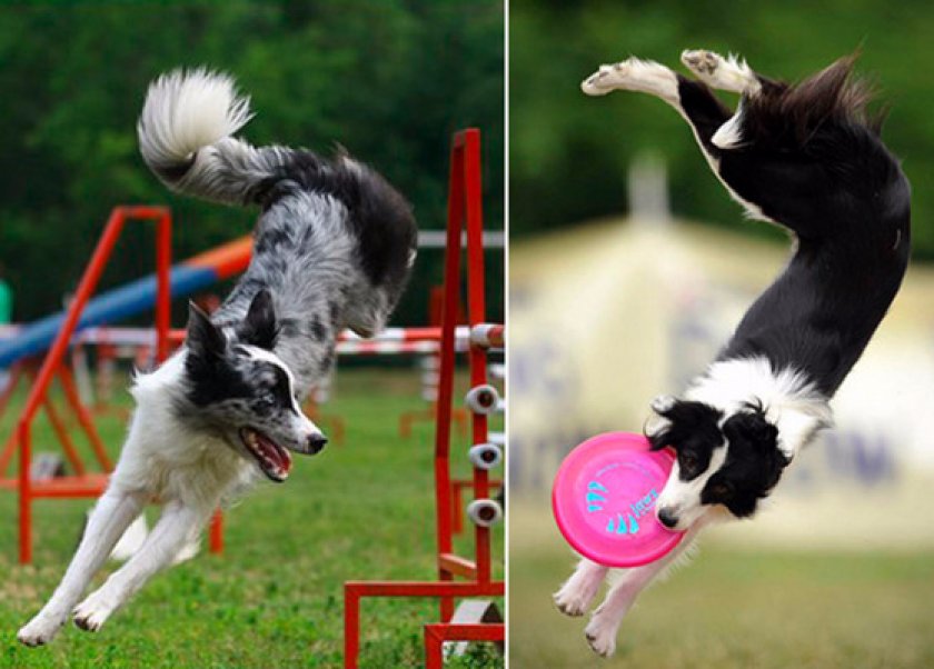 Физ.нагрузки Физ.нагрузки