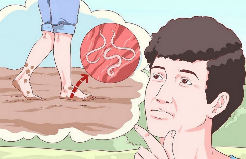 Заражение человека круглыми червями