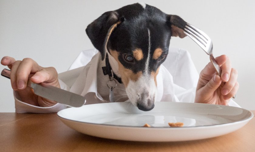 Питание во время лечения