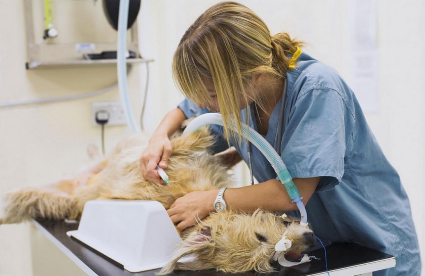 Операционное удаление липомы Операционное удаление липомы