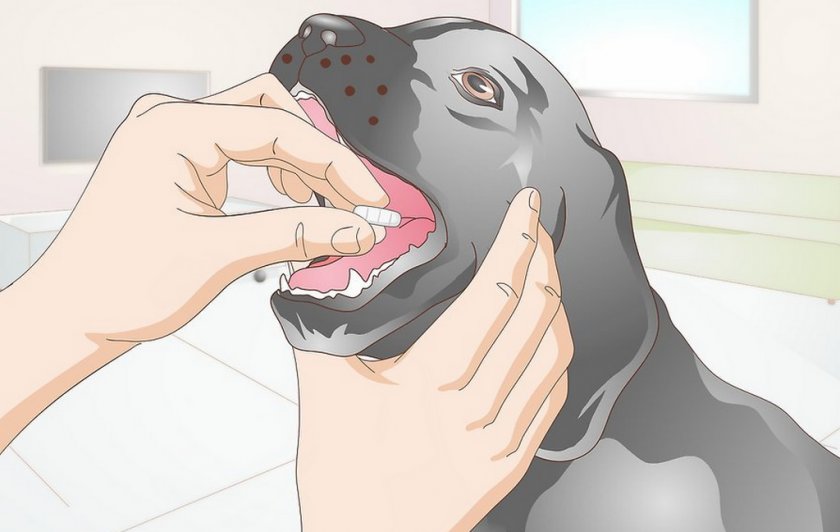 Первая помощь при одышке Первая помощь при одышке