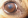 Дистрофия роговицы глаза у собаки
