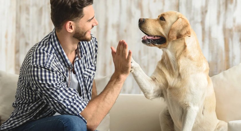 Человек и собака