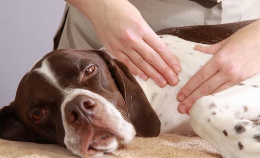 Мануальная терапия после перелома Мануальная терапия после перелома