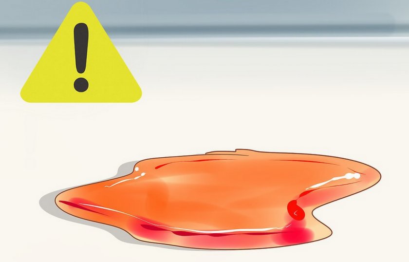 Кровавая моча у собаки