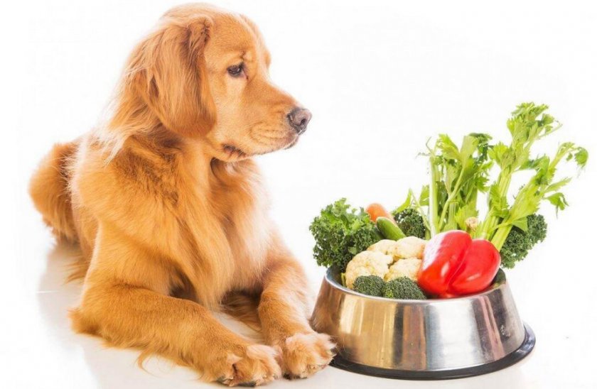 Питание во время лечения