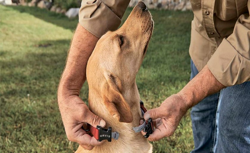 Ошейник от клещей для собаки Ошейник от клещей для собаки